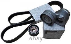 117200713R Renault Master Laguna Trafic Service Belt Kit Nissan Primastar