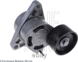 Fits Renault Master Espace Trafic Vauxhall Movano Blue Print Tensioner Pulley