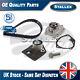 Fits V40 Vivaro Trafic Laguna Primastar Timing Cam Belt Kit + Water Pump Stallex