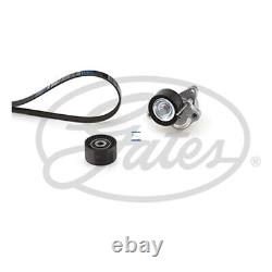 Fits Vivaro Movano Trafic Master Laguna Alternator Belt Kit Stallex