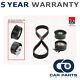 Timing Cam Belt Kit Cpo Fits Renault Master Espace Trafic Vauxhall Movano