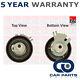 Timing Cam Belt Tensioner Pulley Cpo Fits Master Espace Trafic Movano